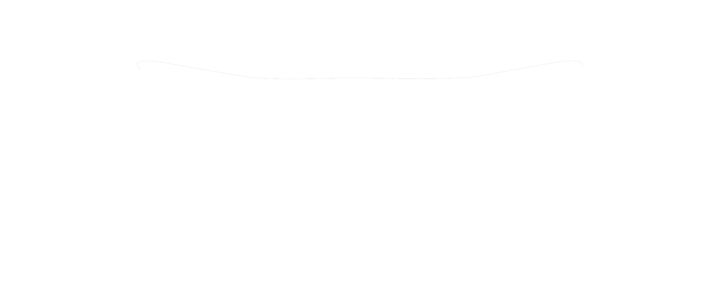 LOGO-OFICIAL-FRIZODRONE-branco